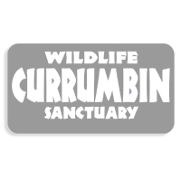 Currumbin Wildlife Sanctuary